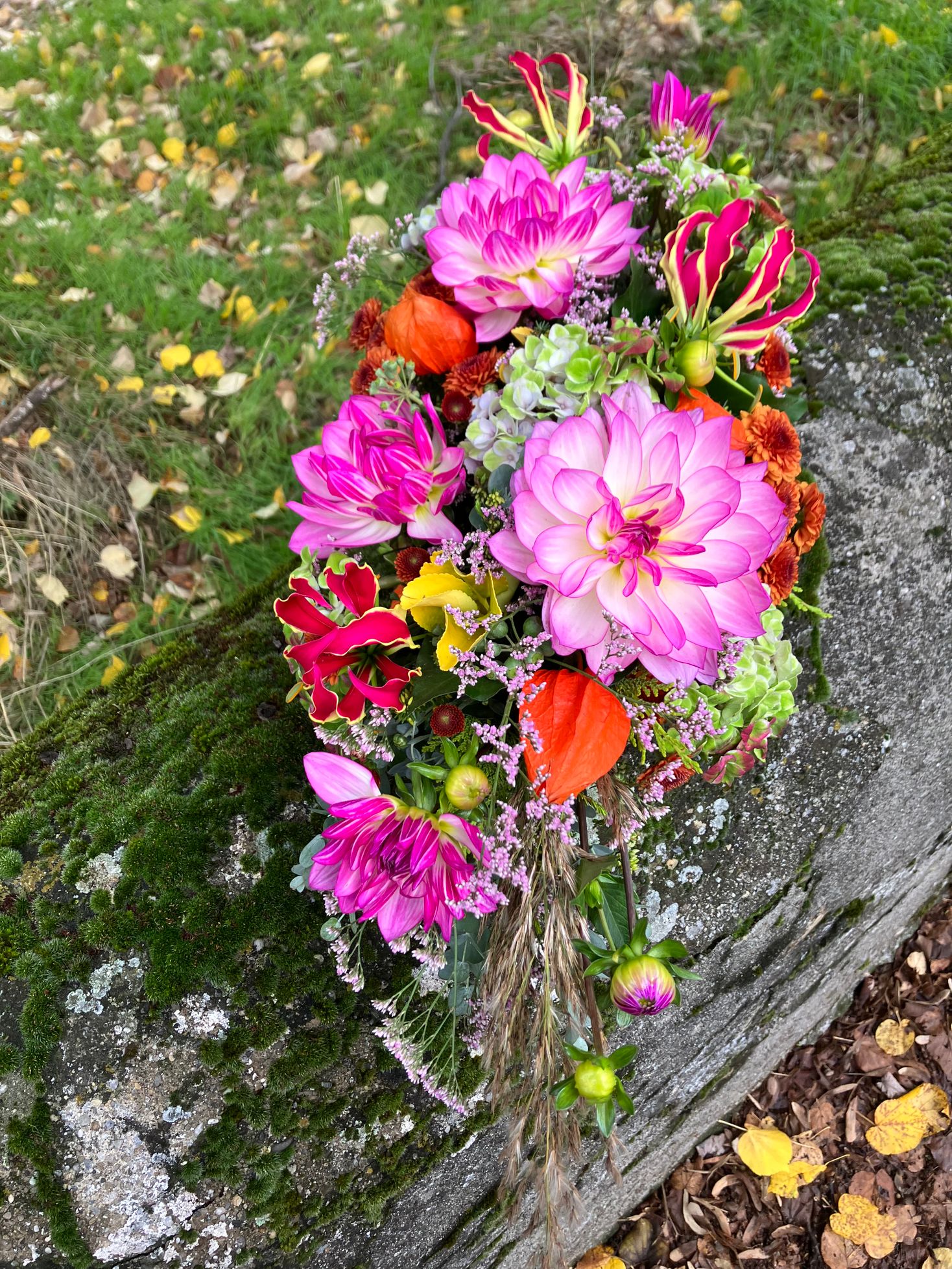 Bilder Fleurs d'Elfes