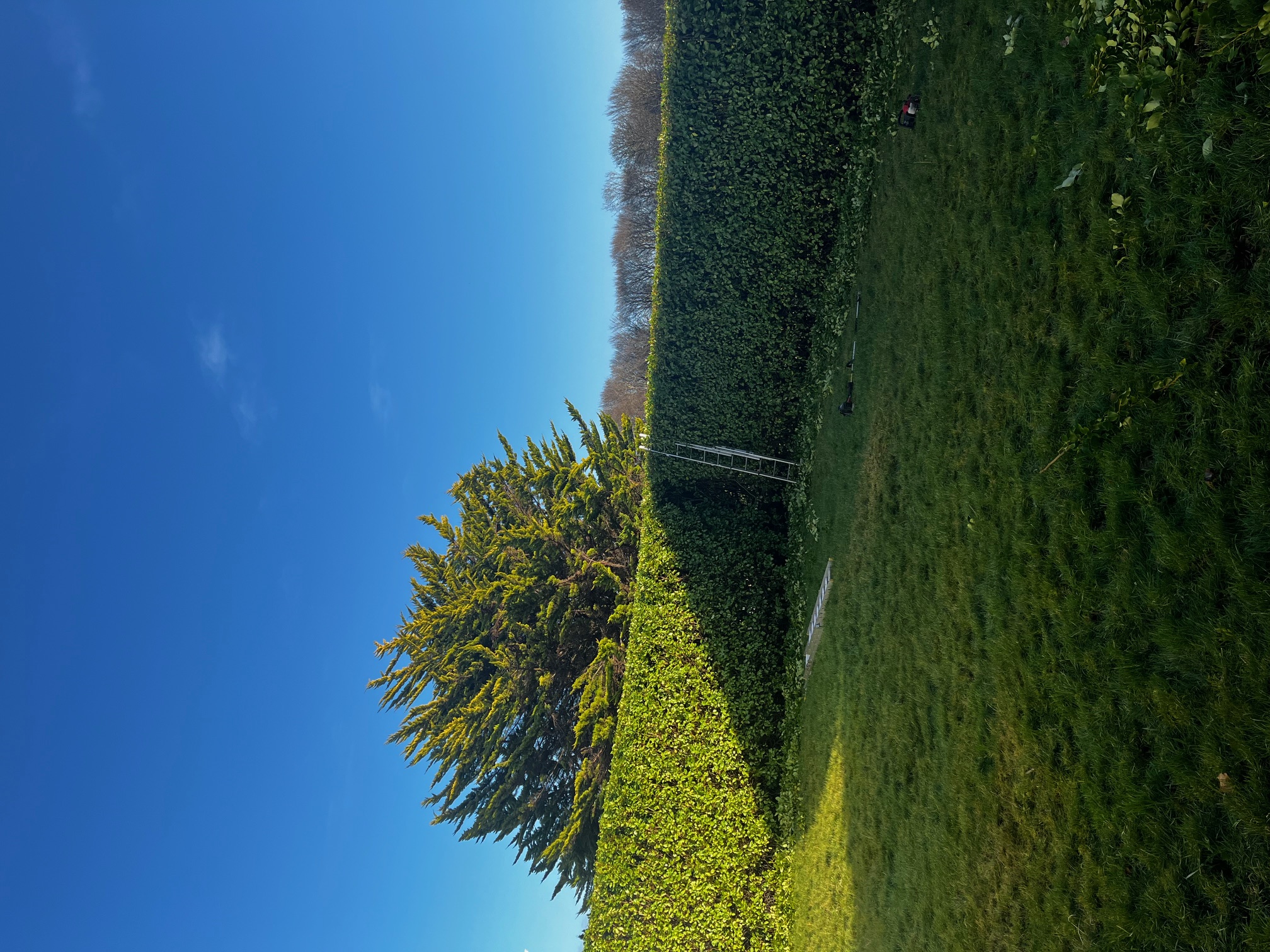 Connaughton & Sons Landscaping Ltd 12