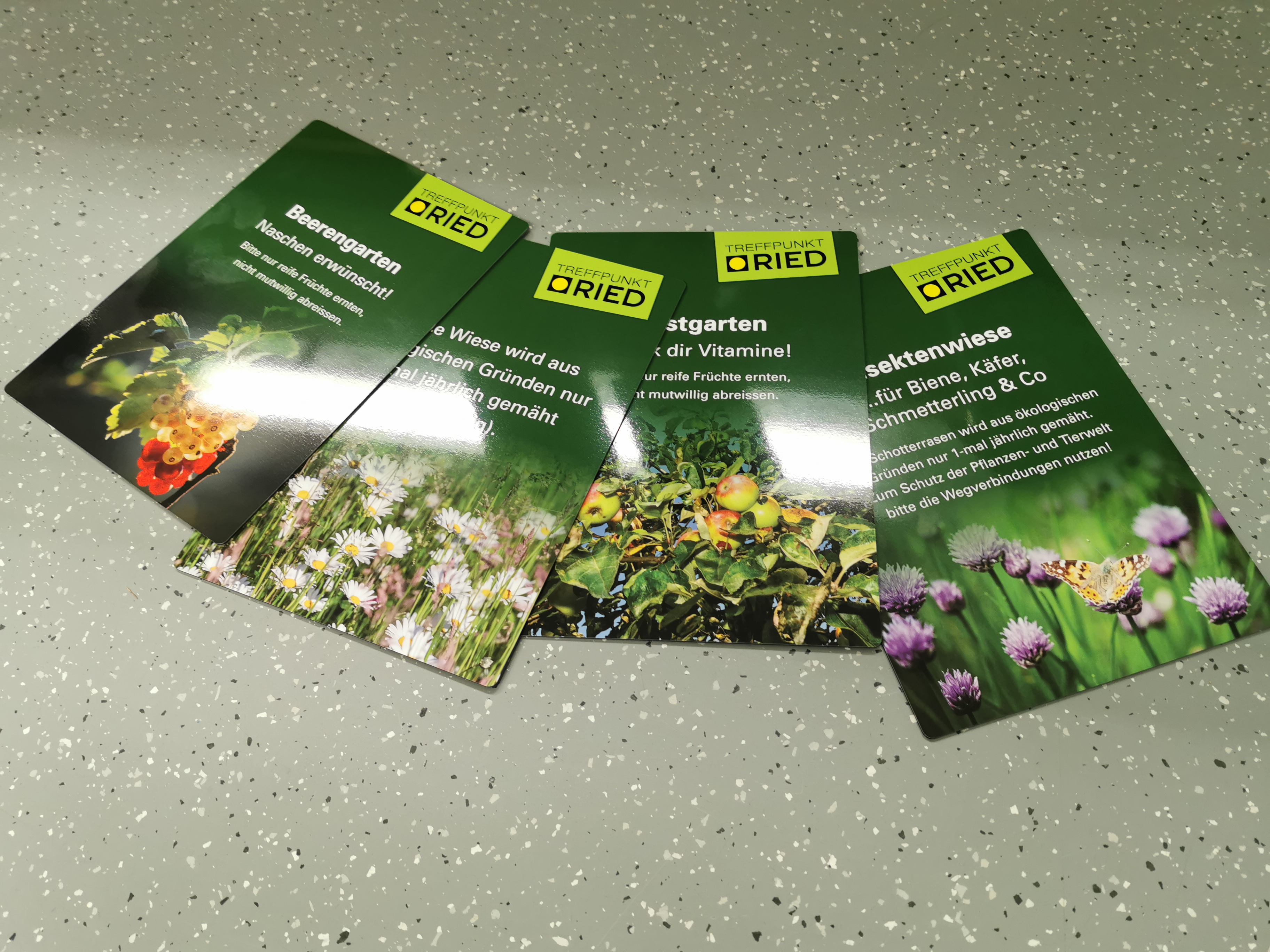 Bild 11 von House of Colors