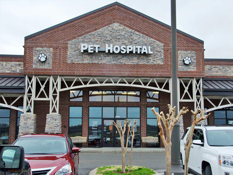 Image 2 | Agape Pet Hospital