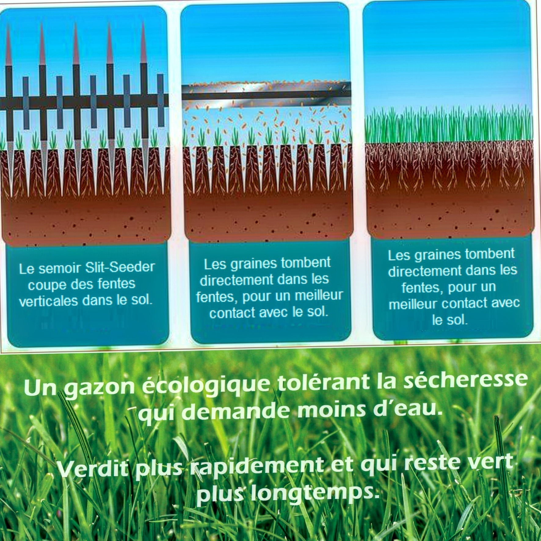 Images Hortiplan Outaouais inc paysagiste