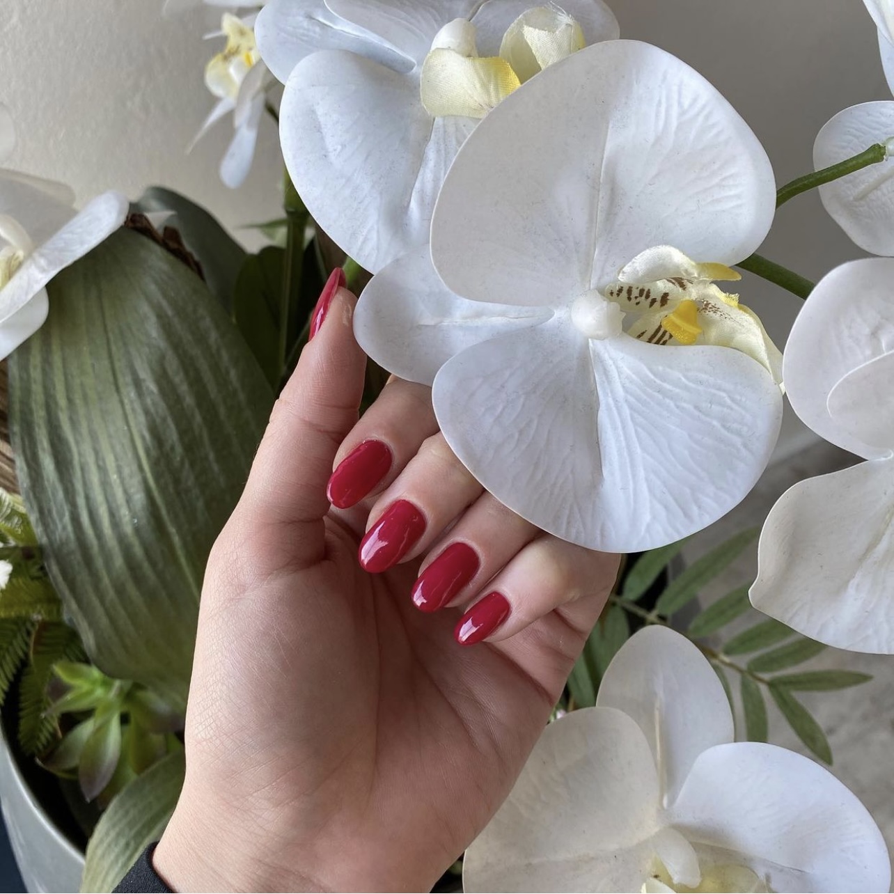 Bilder Fida-nails Beauty studio