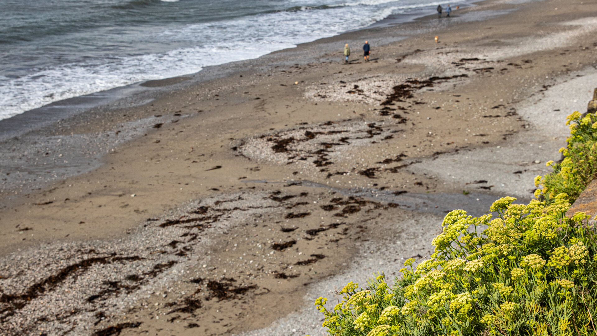 Images Inn On The Shore