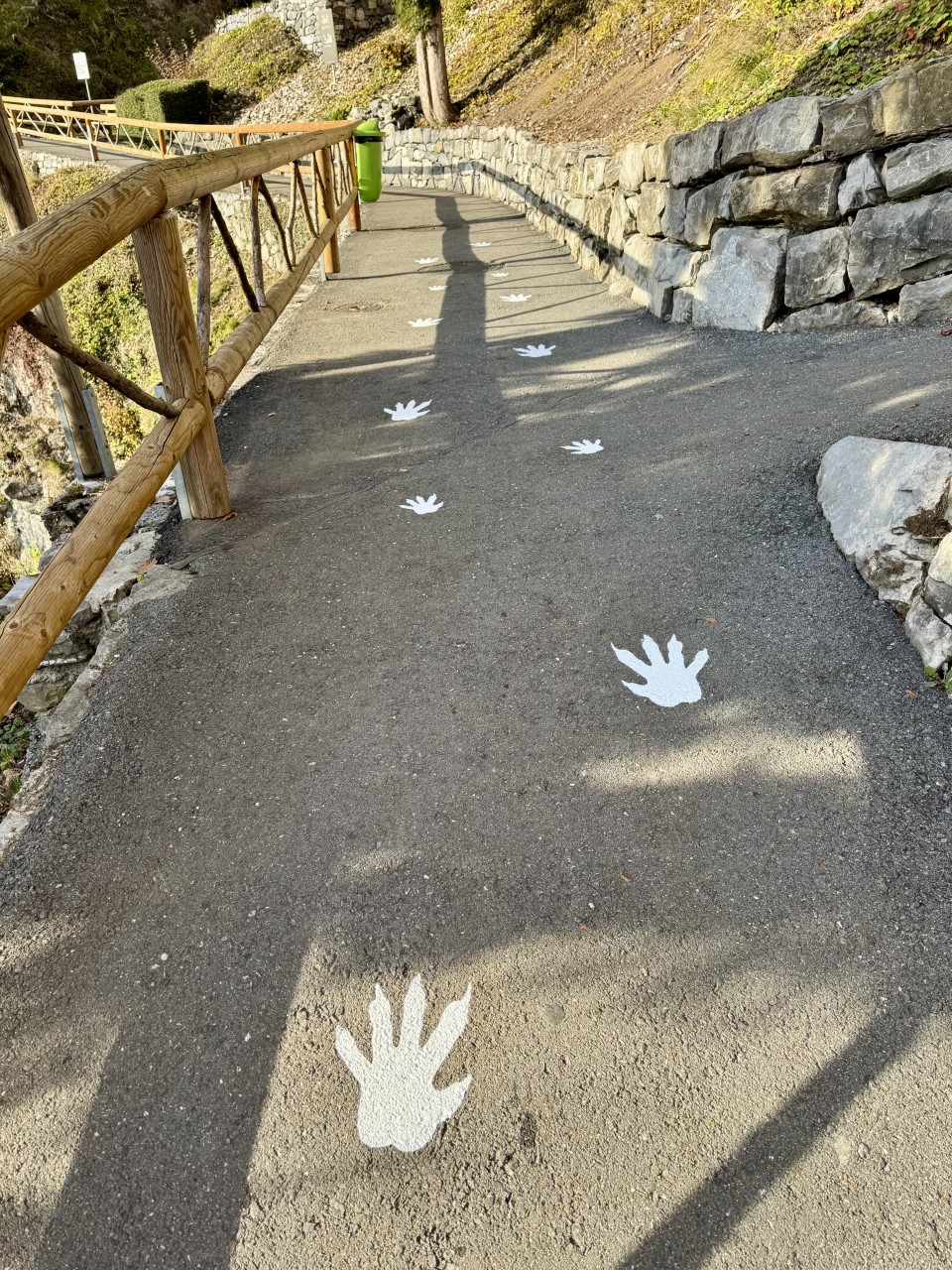 Bilder Dällenbach + Co. AG