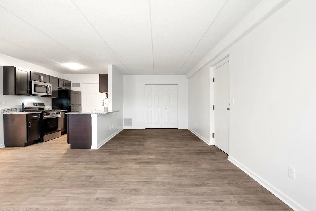 Kitchen and living area