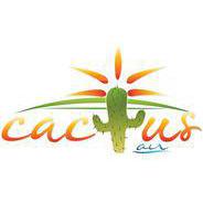 Cactus Air, LLC Logo