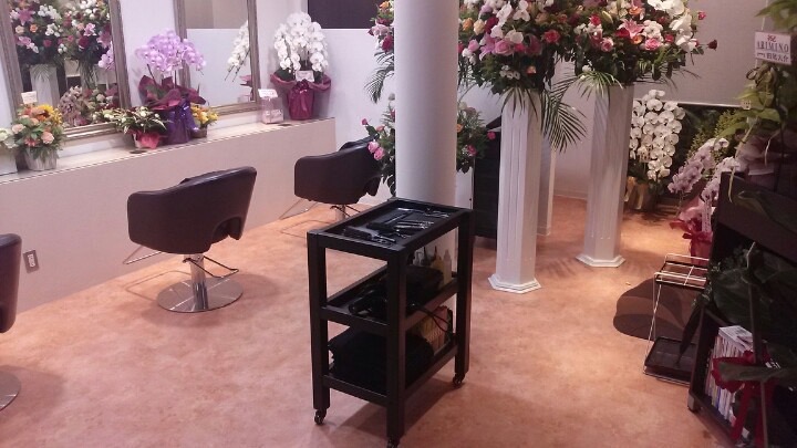 Images LUMIE hair & make