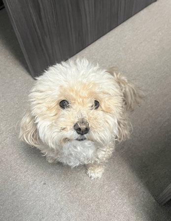 Images Christopher Patrick - State Farm Insurance Agent