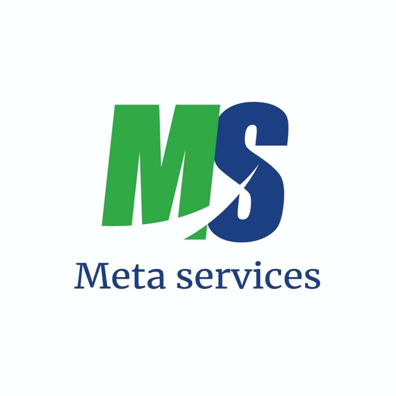 Meta Services création de site, hébergement Internet