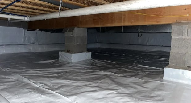 Images Midwest Mold Specialist LLC