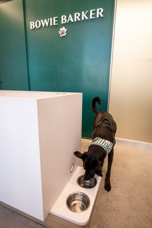 Images Bowie Barker Woodland Hills