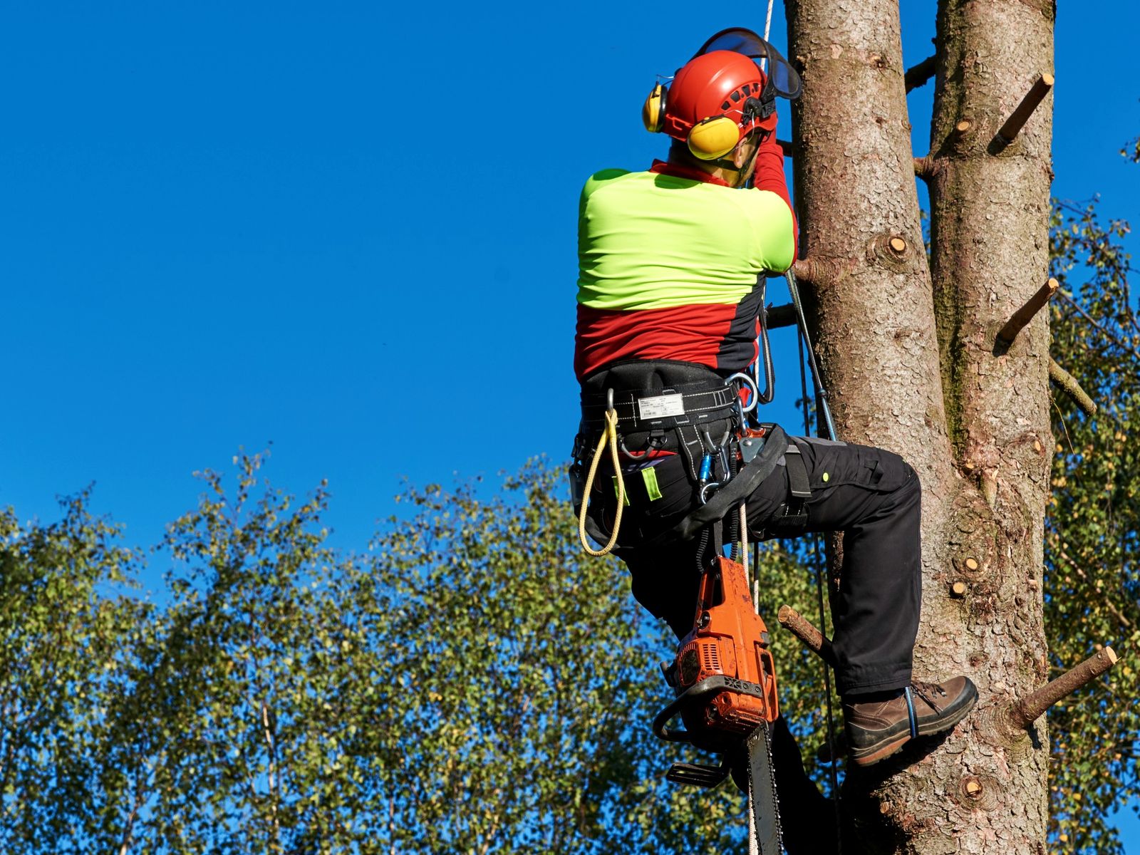 Rath Arborist Services LLC