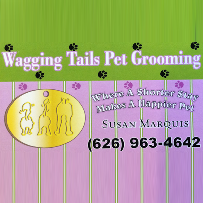 Wagging Tails Pet Grooming LLC