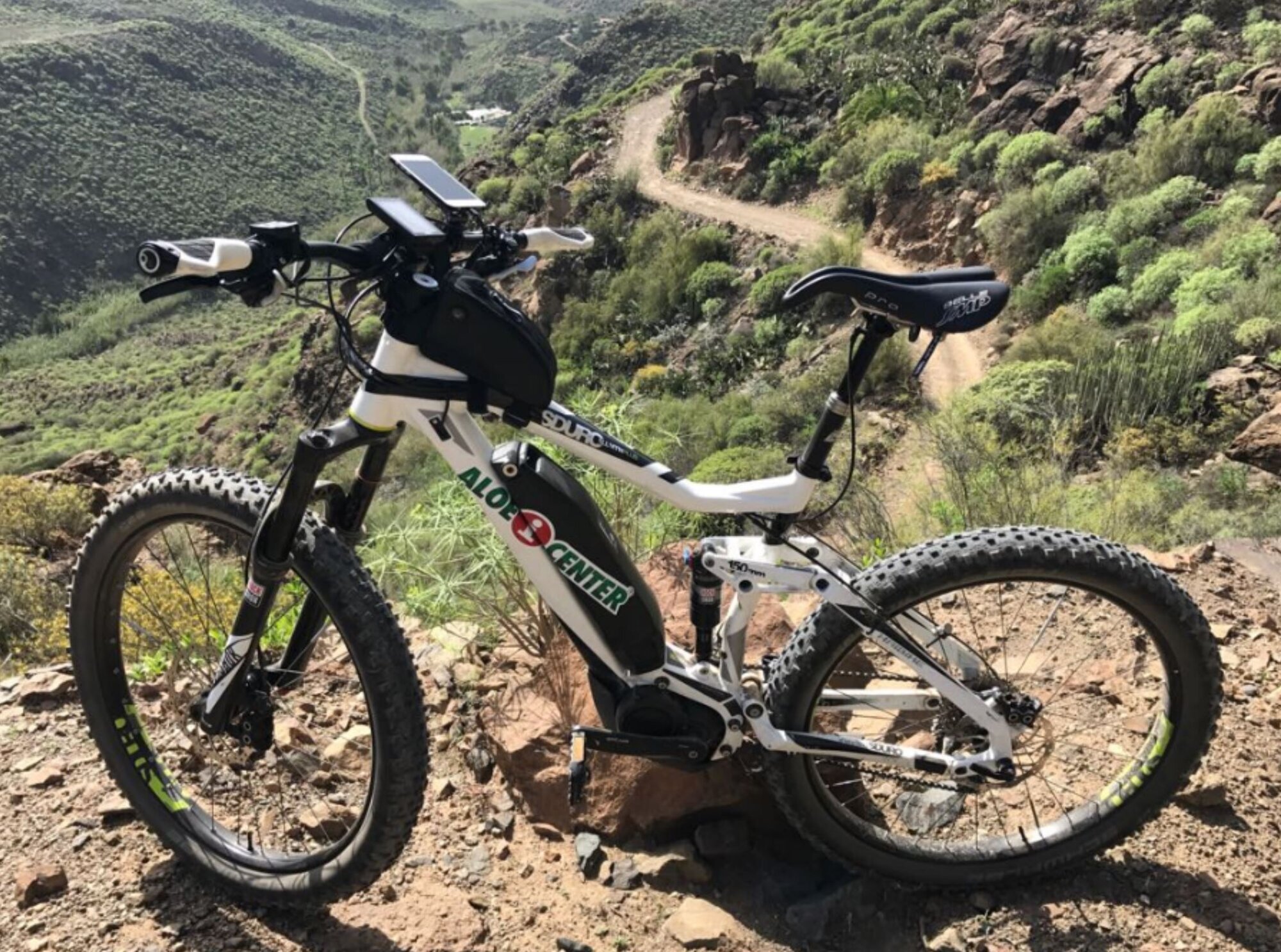 Images ALOE INFO CENTER S L