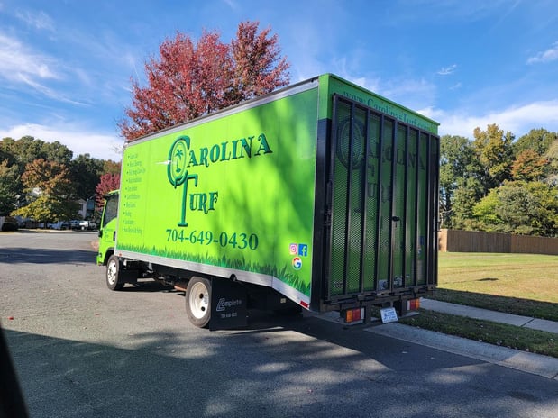 Images Carolina Turf Lawn and Landscape
