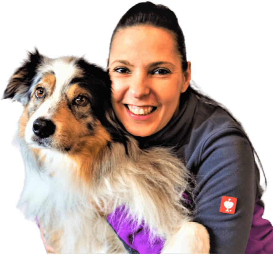 Dog&HumanWork in Weyhe bei Bremen - Logo