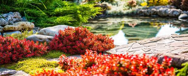 Images All Seasons Landscaping Services
