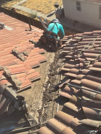 Images Alba's Roofing