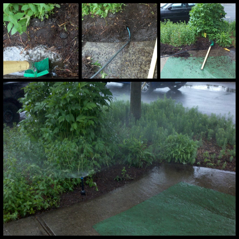 Make It Rain Irrigation Photo