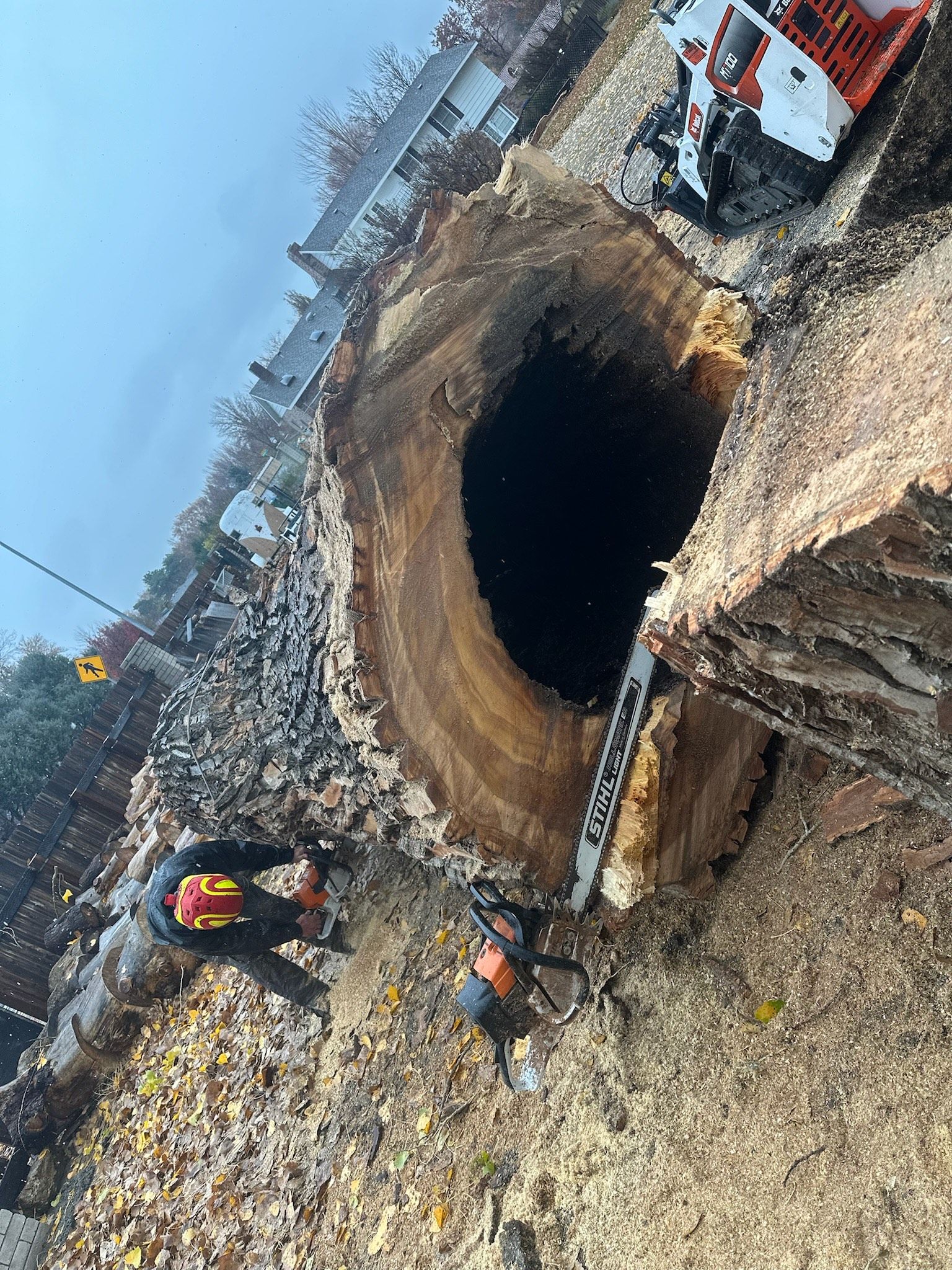 Precision Arbor Care Image