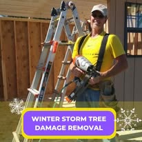 Remodeling with Phil Image