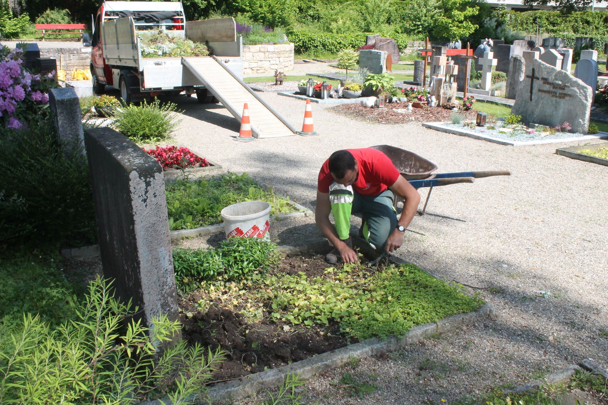Blumen & Gärten Schalch AG, Wanngasse 29 in Thayngen