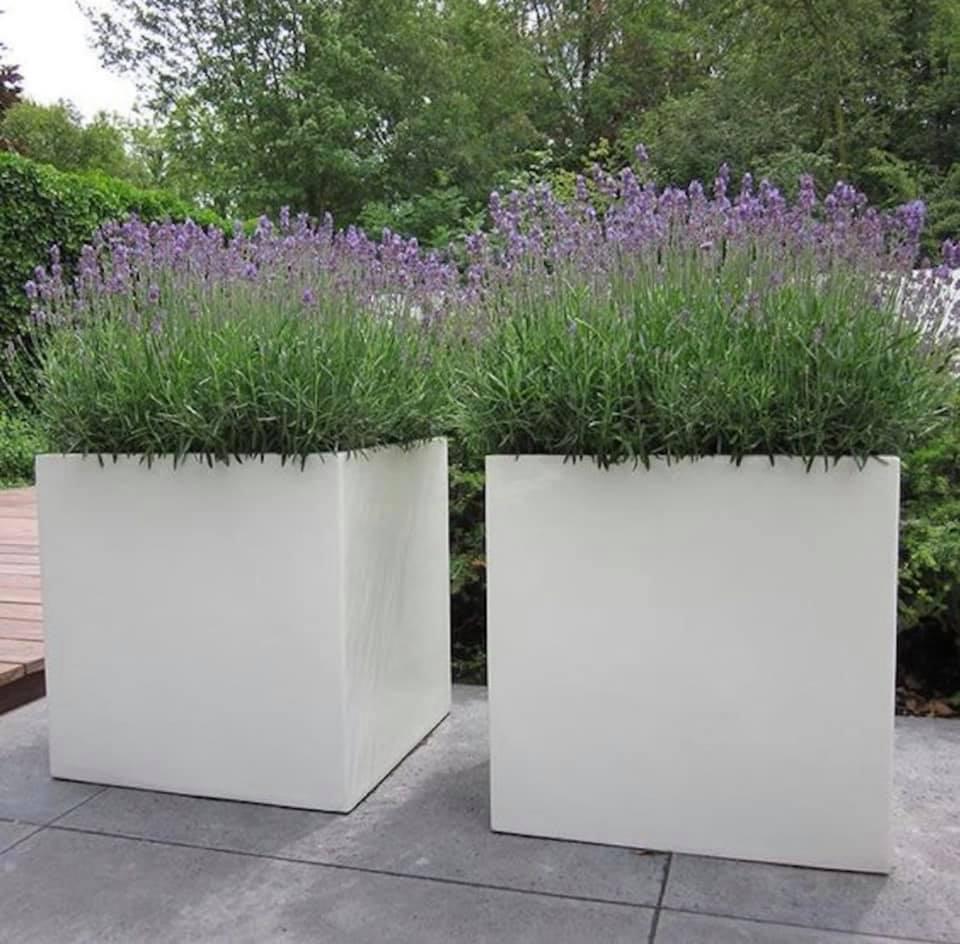 The Pot Shack Garden Pot Suppliers Garden Centre Johannesburg