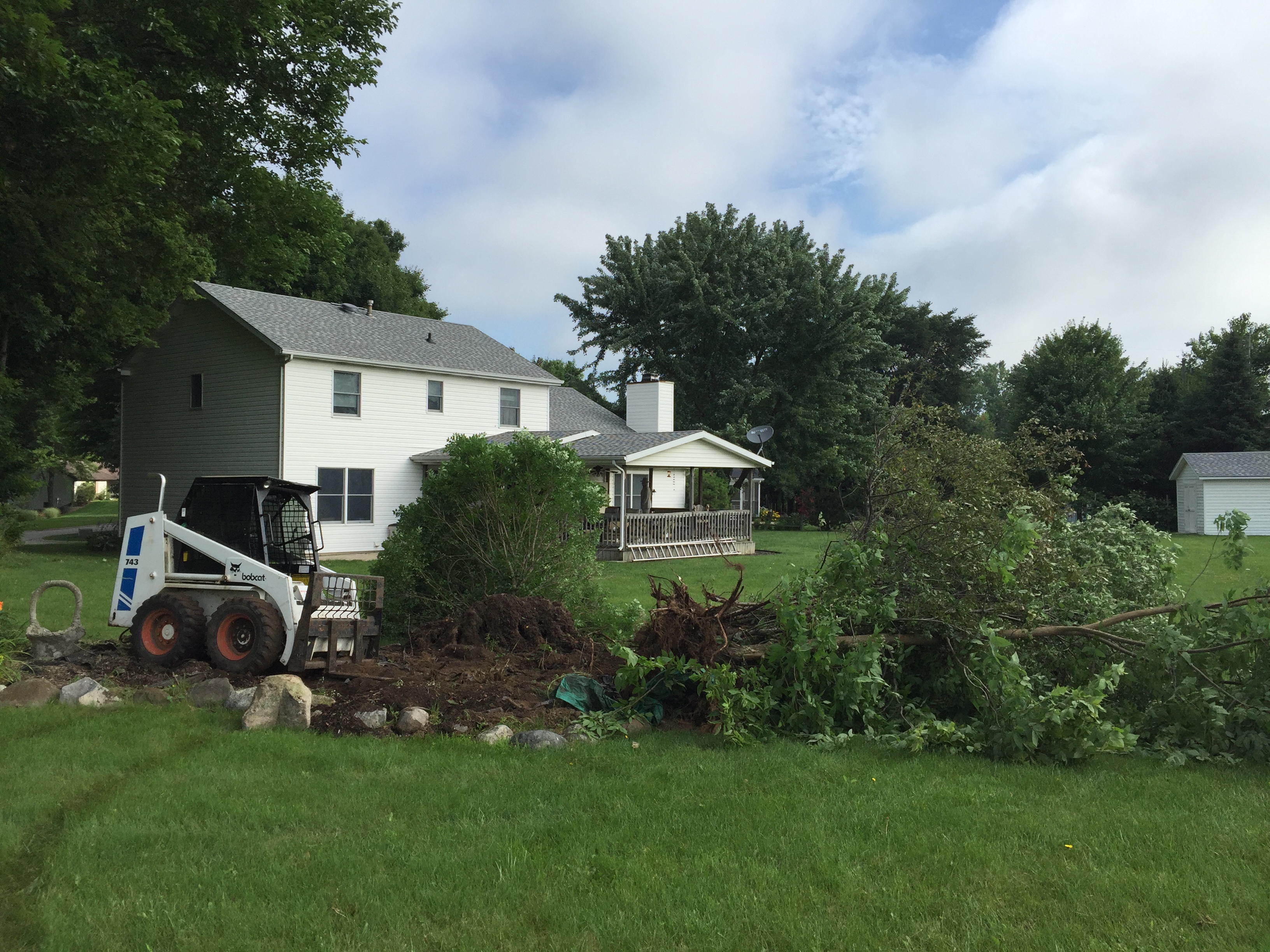 Above & Beyond Tree and Shrubbery Service