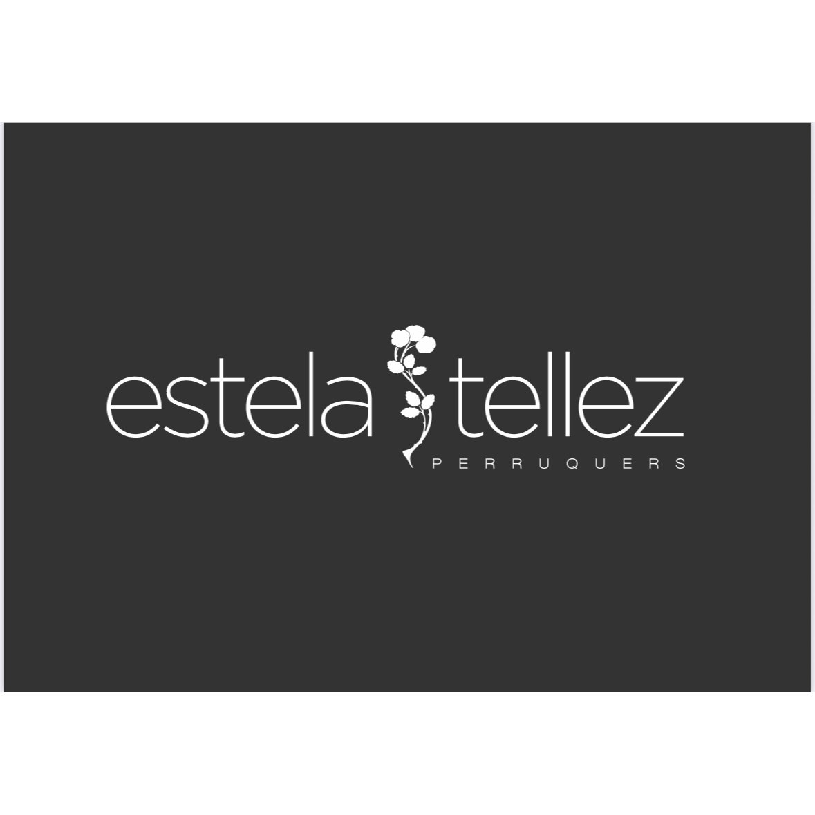 Estela Téllez Perruquers Logo