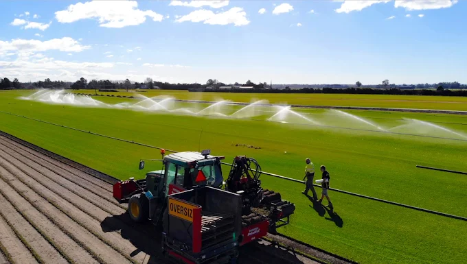 Images President Turf Supplies