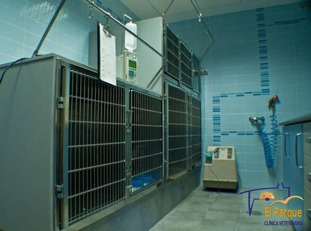 Images Clinica Veterinaria el Parque