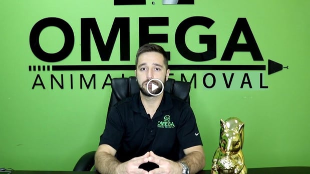 Images Omega Animal Removal Houston