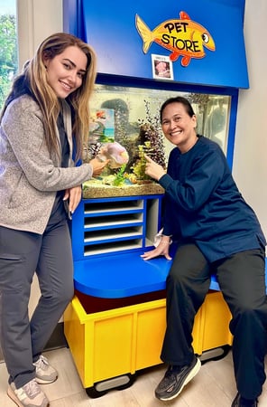 Images Kids Dental Corner