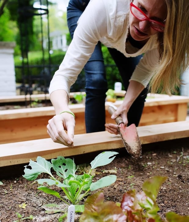 Images Edible Gardens Inc