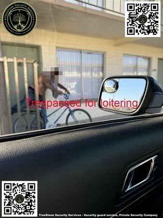 Images TreeStone Security Services