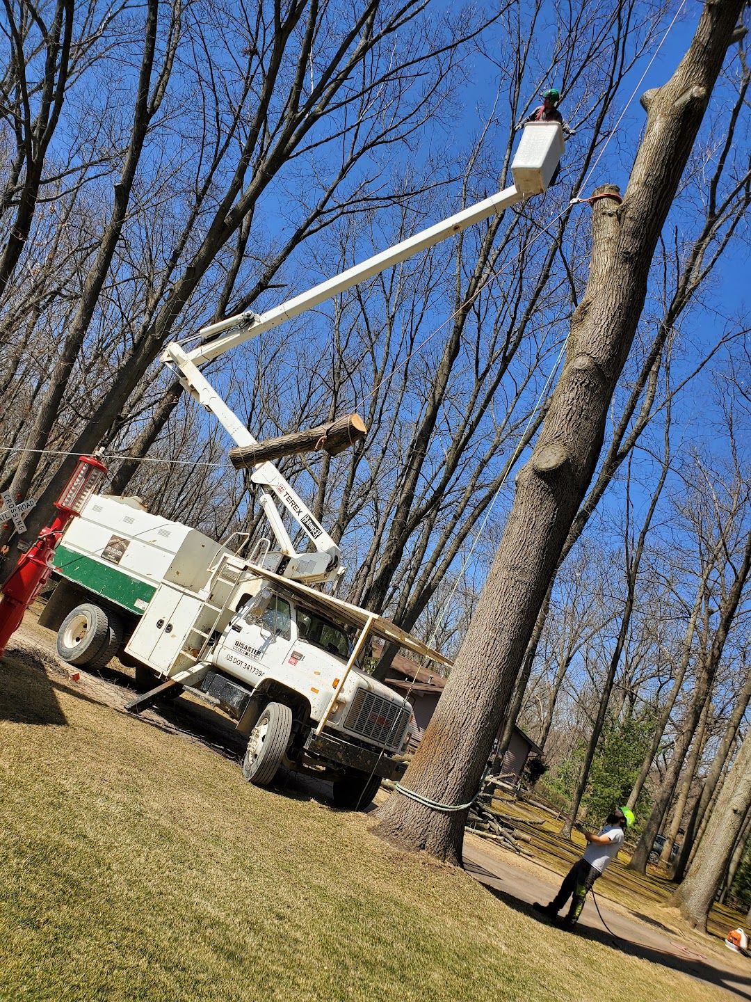 Recon Tree Services Image