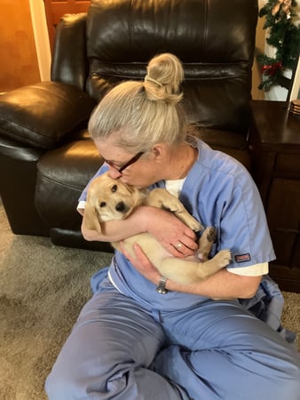 Images Dr. Robins Housecall Veterinary Services
