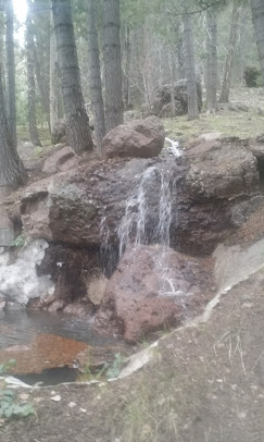 Mogote Meadow Cabins & RV Park Image