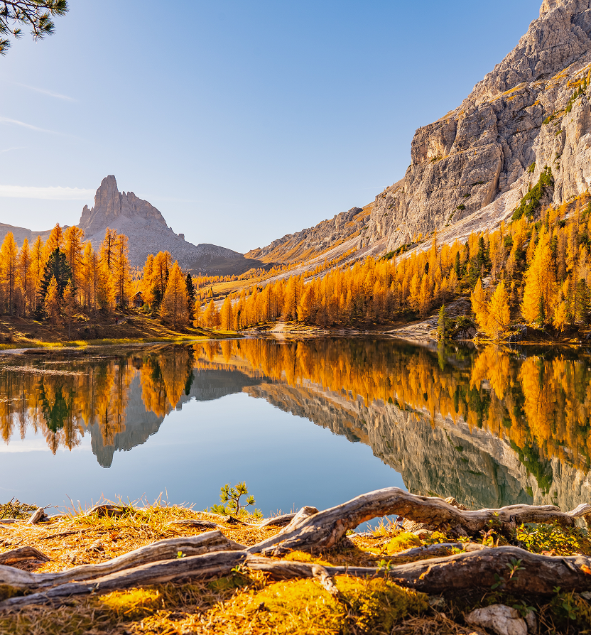 A rugged mountain range and beautiful, golden autumn trees reflected in a calm alpine lake.