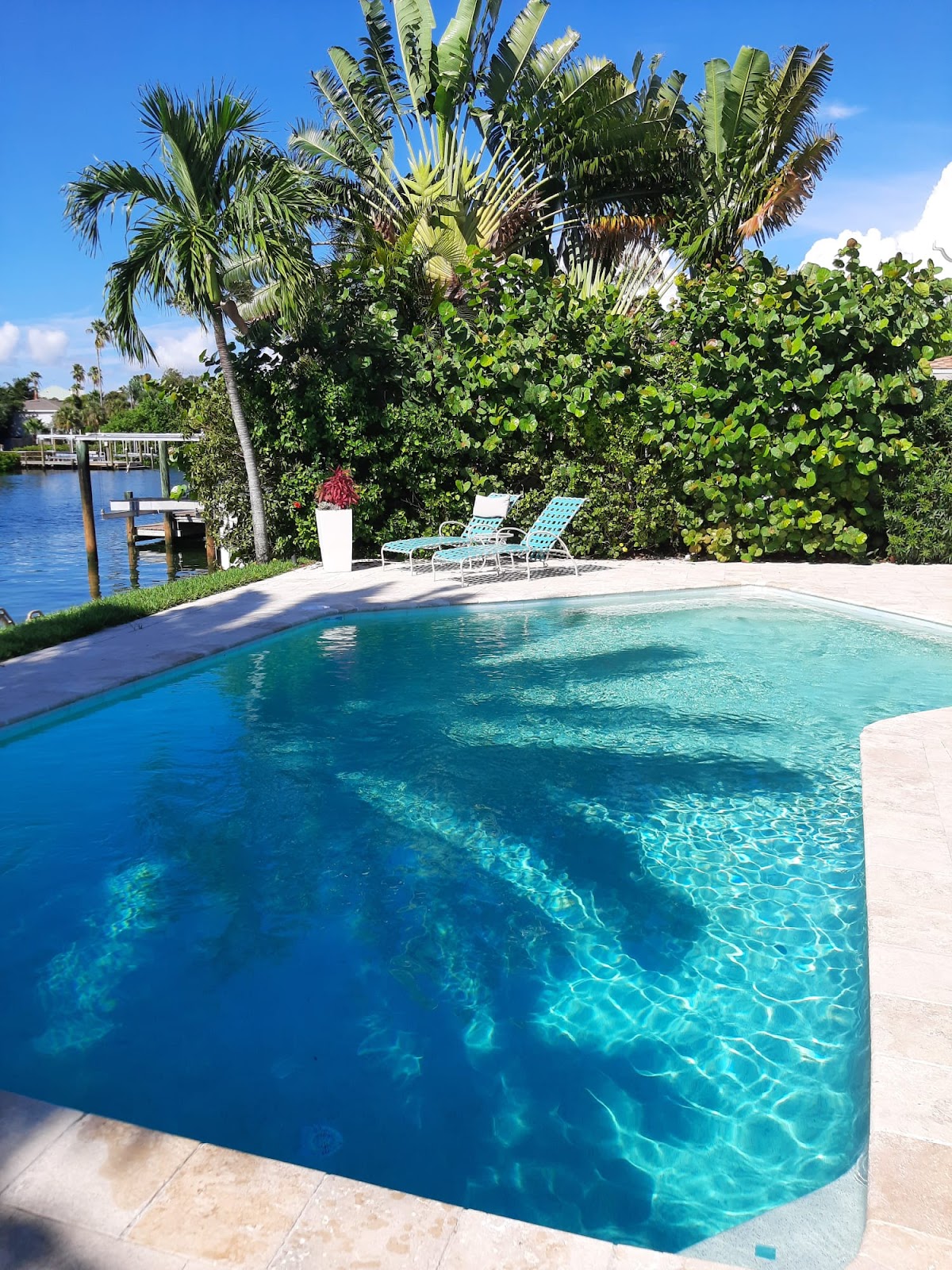 Waterfront backyard swimming pool with clear blue water, tropical palm trees, lush landscaping, and lounge seating.
