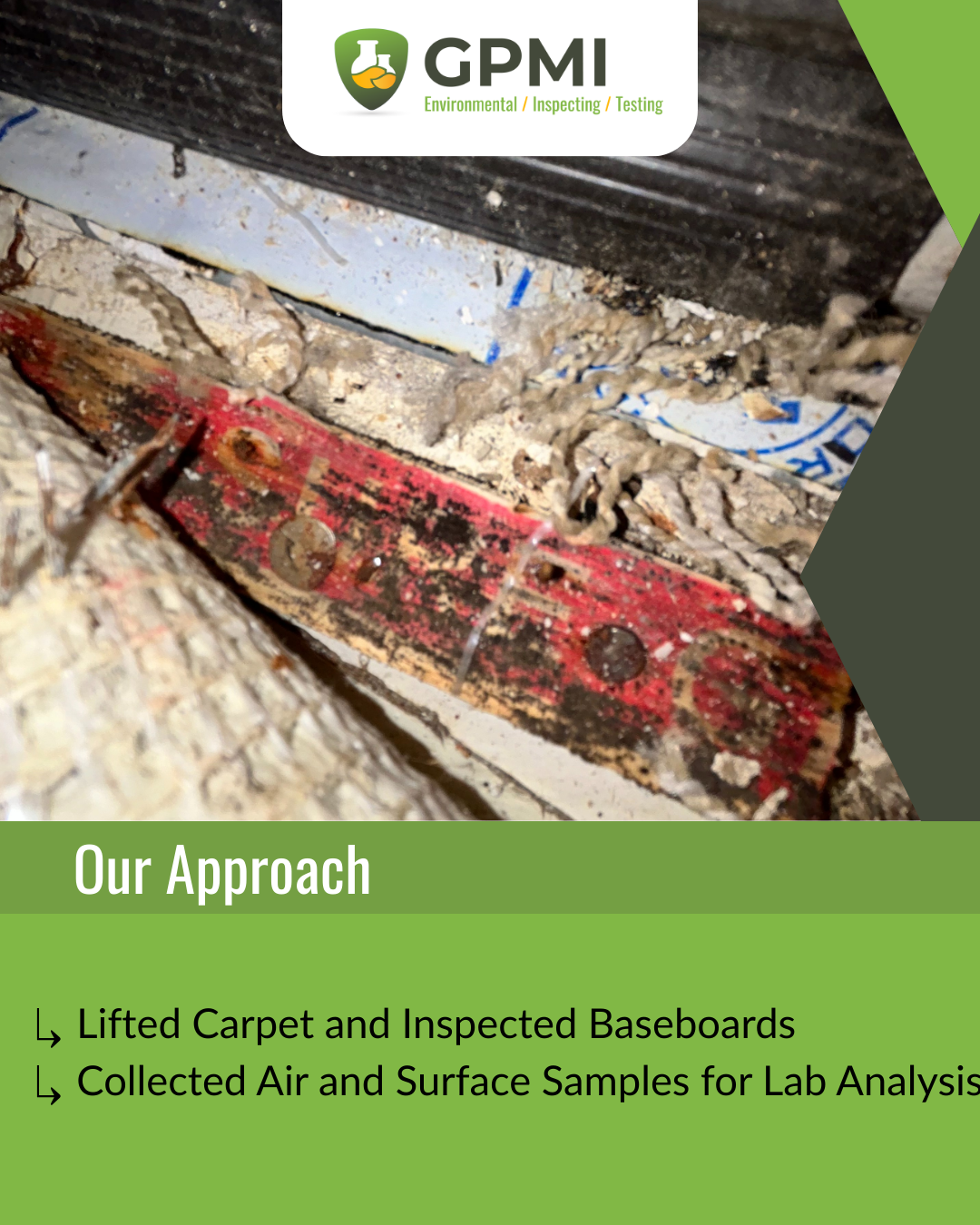 Lifted carpet inspection photo showing exposed tack strips, flooring debris, and possible water damage or mold growth near the wall.