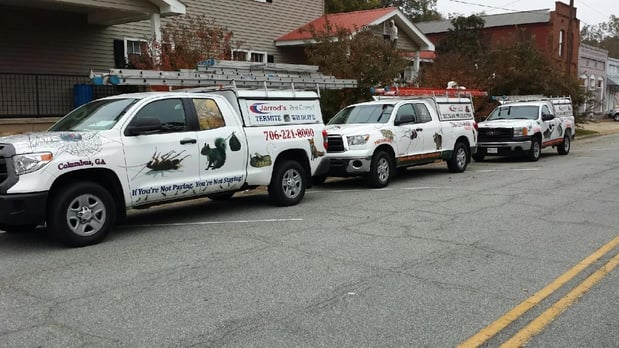 Images Affordable Wildlife Eviction