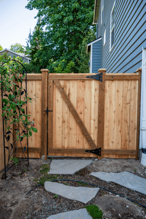 Images Rare Bears Fencing