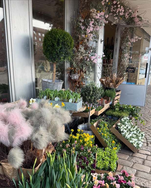 Images Camillas Blommor i Helsingborg - Blomsterhandel Helsingborg