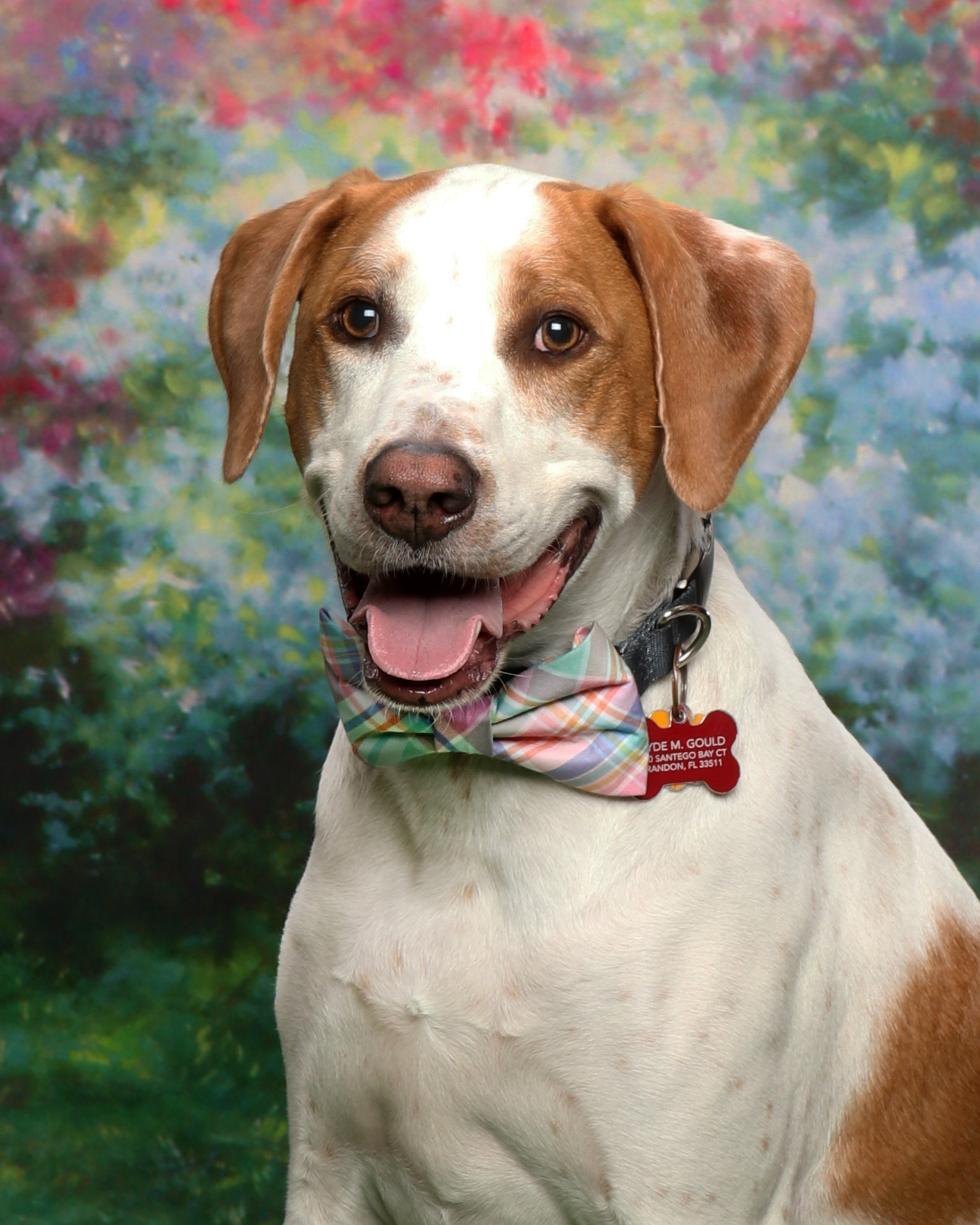 Jim Harris Photography Image