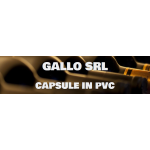 Gallo Srl Logo