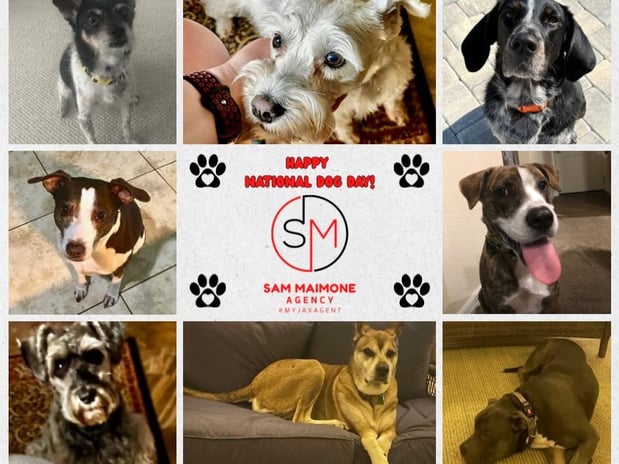 Images Sam Maimone - State Farm Insurance Agent