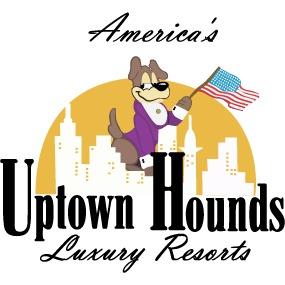 Uptown Hounds Lexington (859)554-2680