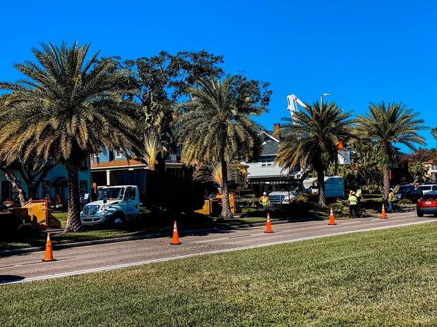 Images Mid-Florida Tree Service, Inc.
