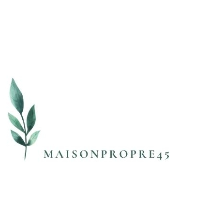 maisonpropre45 Logo